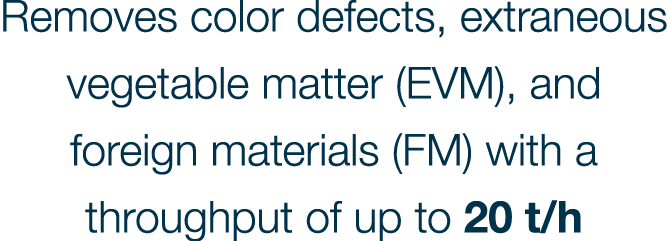 Removes color defects, extraneous vegetable matter (EVM), and foreign materials (FM) with a throughput of up to 20 t h